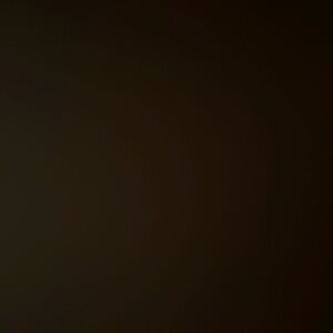 Meet your Posher, Gloria